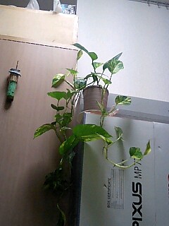 060812_0054~0001.jpg