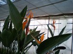 CA330171.jpg