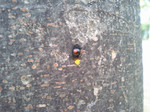 PAP_00120001.jpg